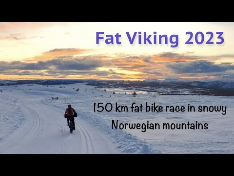 Fat Viking