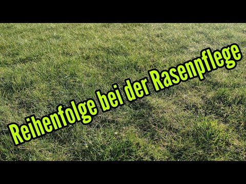 Rasen Dngen im Frhling: Wichtige Dngezeiten im berblick